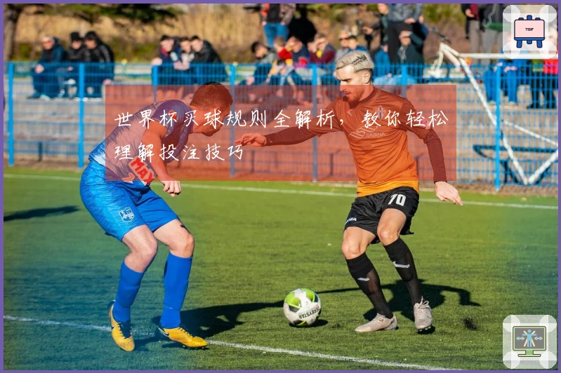世界杯买球规则全解析，教你轻松理解投注技巧