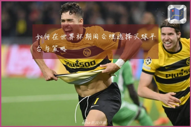 如何在世界杯期间合理选择买球平台与策略