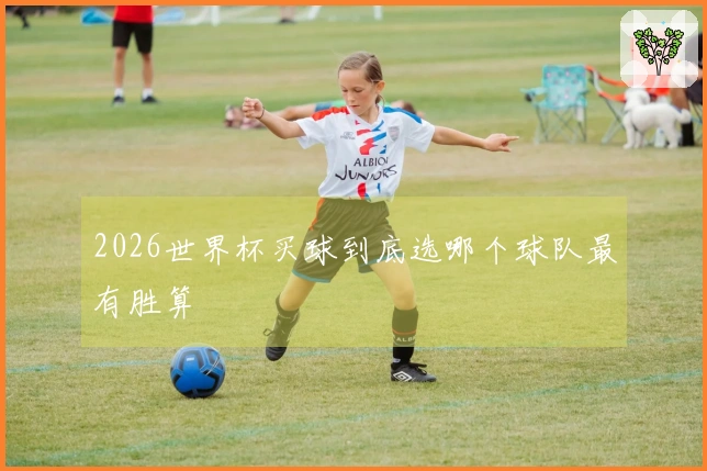 2026世界杯买球到底选哪个球队最有胜算