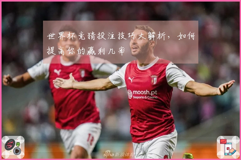 世界杯竞猜投注技巧大解析，如何提高你的赢利几率