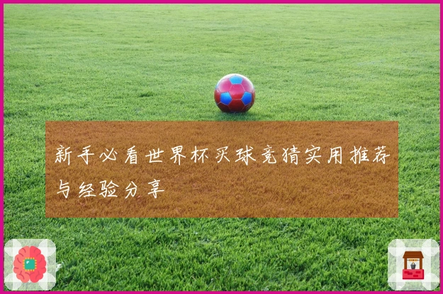 新手必看世界杯买球竞猜实用推荐与经验分享
