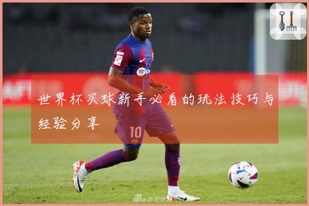 世界杯买球新手必看的玩法技巧与经验分享