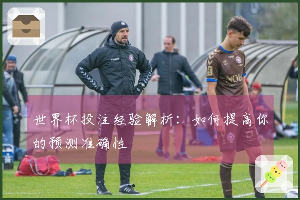 世界杯投注经验解析：如何提高你的预测准确性
