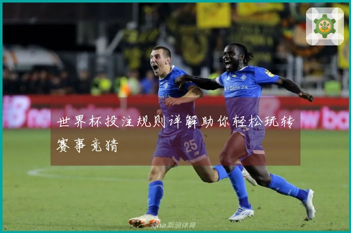 世界杯投注规则详解助你轻松玩转赛事竞猜
