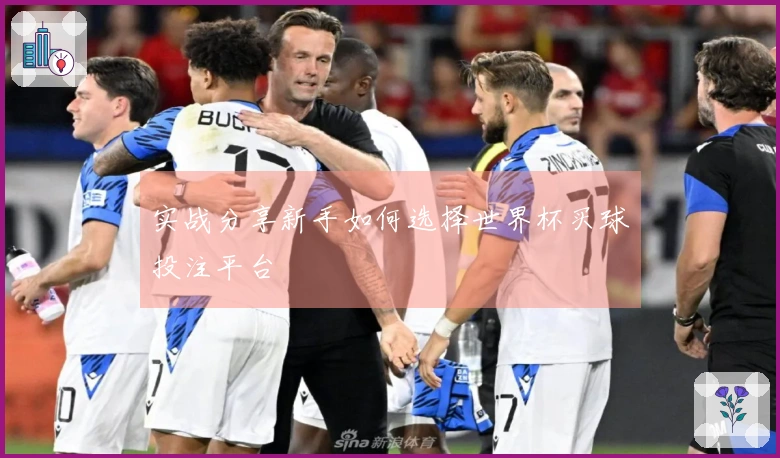 实战分享新手如何选择世界杯买球投注平台