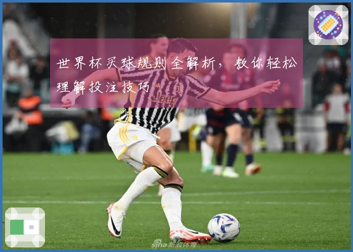 世界杯买球规则全解析，教你轻松理解投注技巧