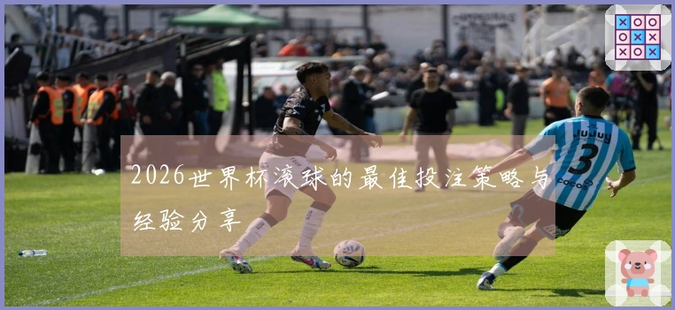 2026世界杯滚球的最佳投注策略与经验分享