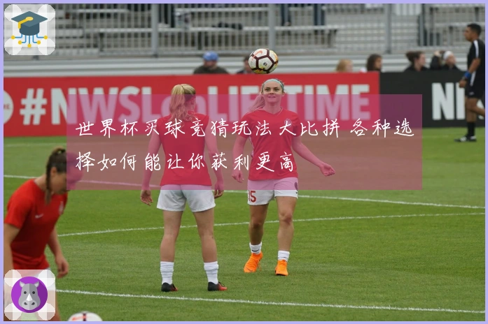 世界杯买球竞猜玩法大比拼 各种选择如何能让你获利更高