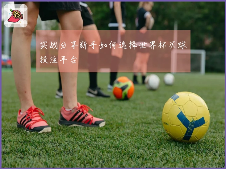 实战分享新手如何选择世界杯买球投注平台