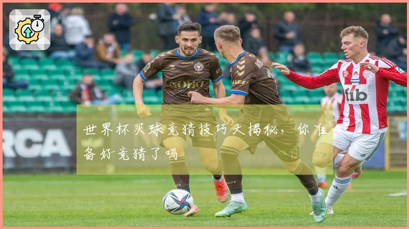 世界杯买球竞猜技巧大揭秘，你准备好竞猜了吗