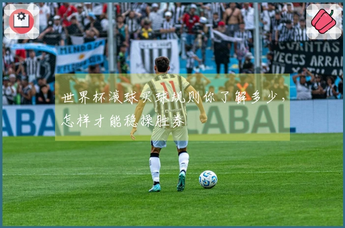 世界杯滚球买球规则你了解多少，怎样才能稳操胜券