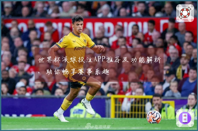 世界杯滚球投注APP推荐及功能解析，助你畅享赛事乐趣